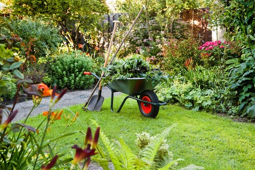 Buy garden cleanups leads