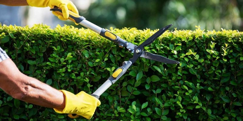 Buy gardening services leads