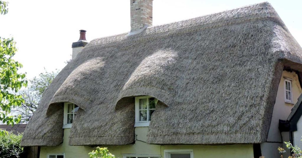 Buy thatch leads